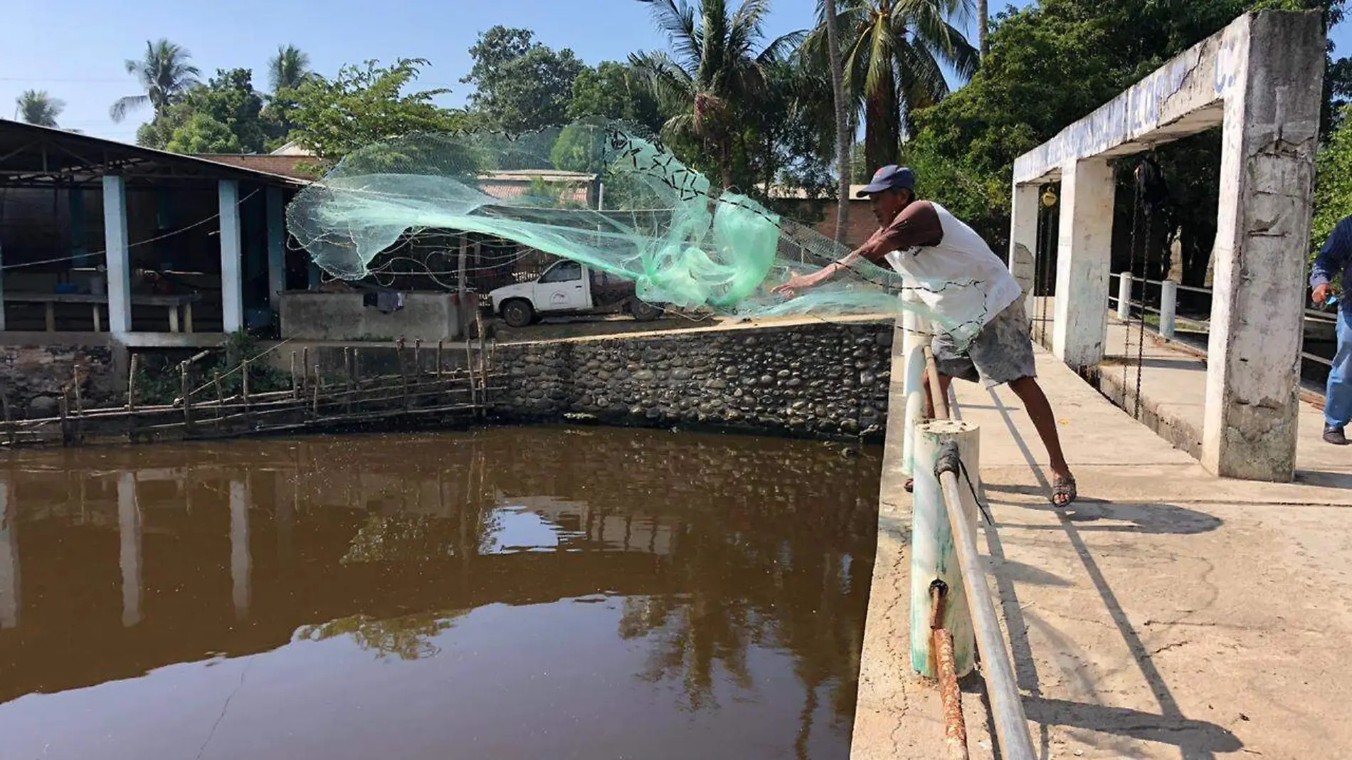 pescador, atarraya